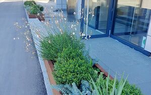 Naturnahe Bepflanzung im Eingangsbereich eines Gebäudes mit Stauden, Gräsern und strukturierter Pflanzplanung